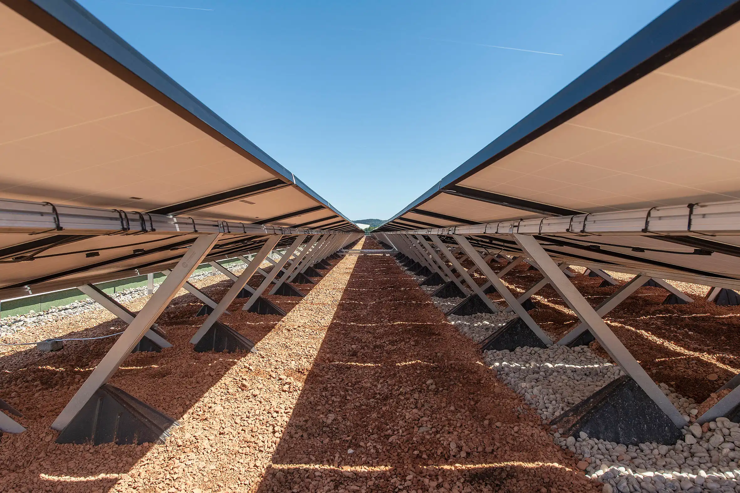 Rows of solar panels on metal racking, set on gravel under a clear blue sky.
